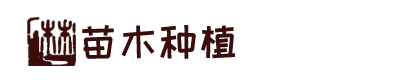 中欧体育·(中国)官方网站